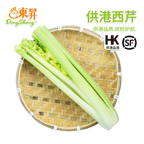 东升农场 供港西芹  芹菜 西芹新鲜轻食 养生 广州蔬菜 3/5斤包邮 - 封面