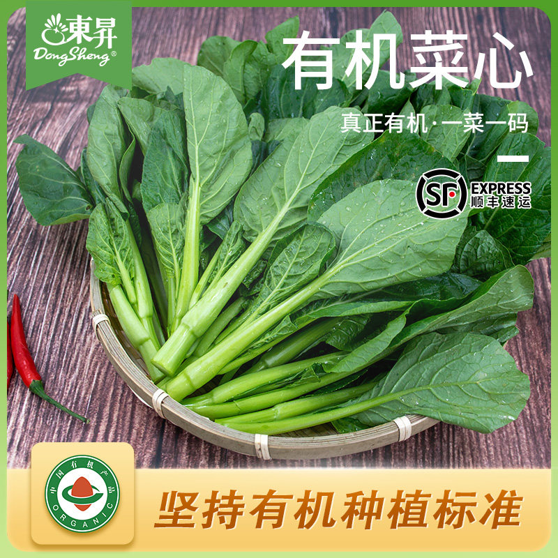 东升农场 有机菜心鲜嫩菜薹 新鲜现摘 宝宝辅食菜花火锅食材 300g