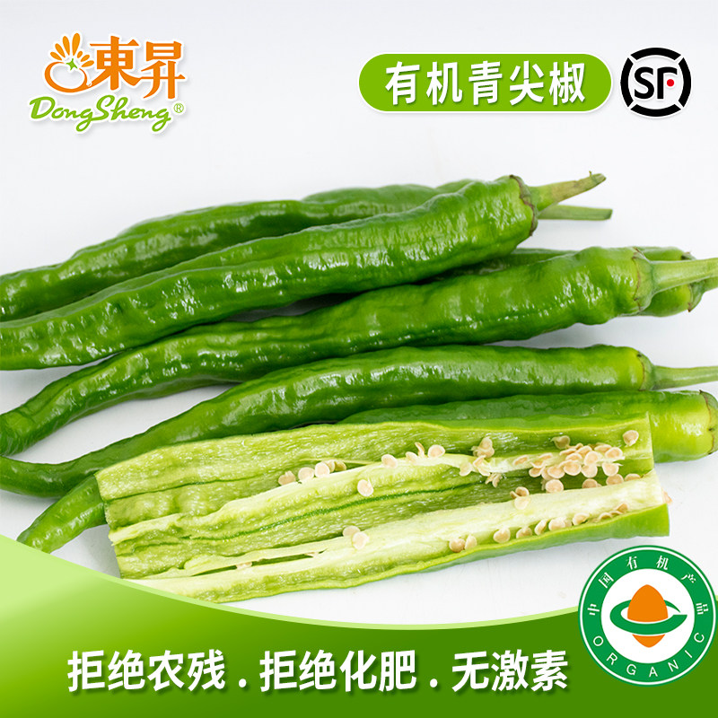 东升农场 东升有机青尖椒 辣椒 烧烤 广州有机新鲜蔬菜配送 300g
