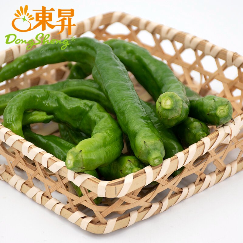 东升 辣椒薄皮椒新鲜蔬菜 炒肉专用椒 200g