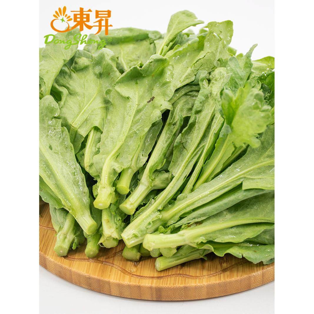 东升有机茼蒿苗 菊花菜 鹅菜 塘蒿250g  广州供港新鲜蔬菜配送,水产肉类/新鲜蔬果/熟食,叶菜类,淘宝优惠券,粉丝福利购,淘宝优惠卷