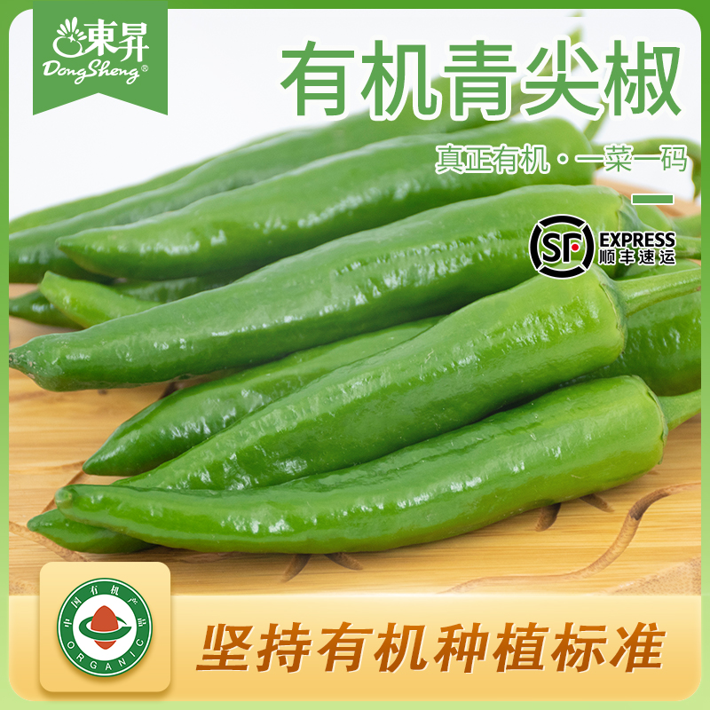 东升农场 东升有机青尖椒 辣椒 烧烤 广州有机新鲜蔬菜配送 300g