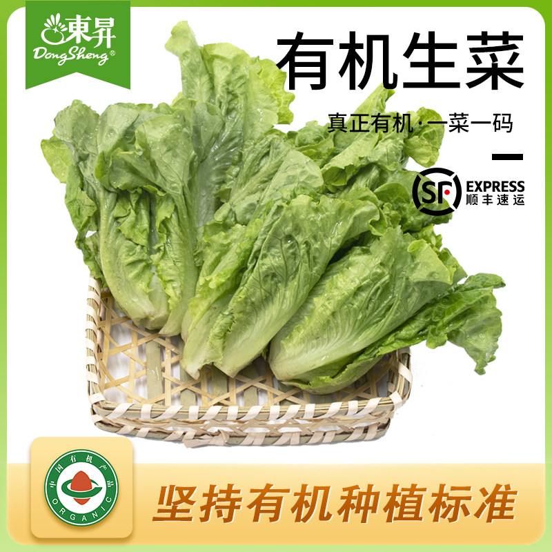 东升新鲜蔬菜东升有机生菜