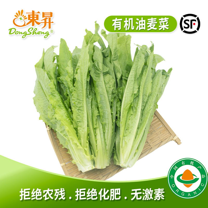 东升农场 有机油麦菜 莜麦菜苦菜牛俐生菜 广州有机新鲜蔬菜 300g - 实物图