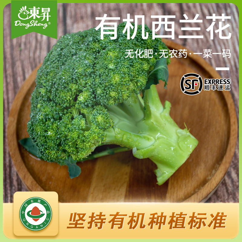 东升农场有机西兰花椰菜广州供港