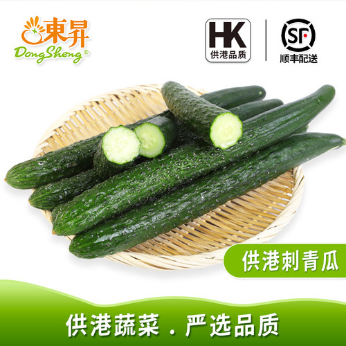 东升农场青瓜脆嫩凉拌刺青黄瓜