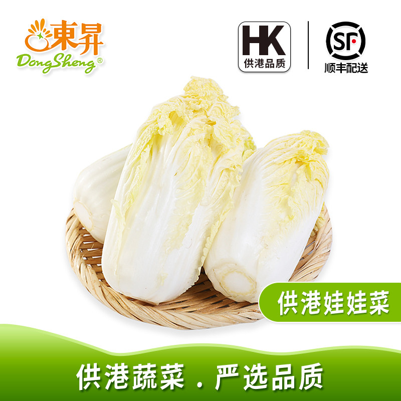 东升农场 娃娃菜黄心 火锅食材烧烤广州新鲜配送400g