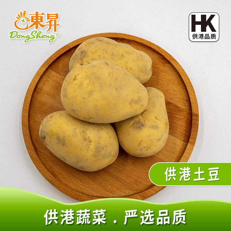 东升农场 供港土豆 马铃薯 宝宝辅食洋芋 烧烤 广州新鲜配送 500g