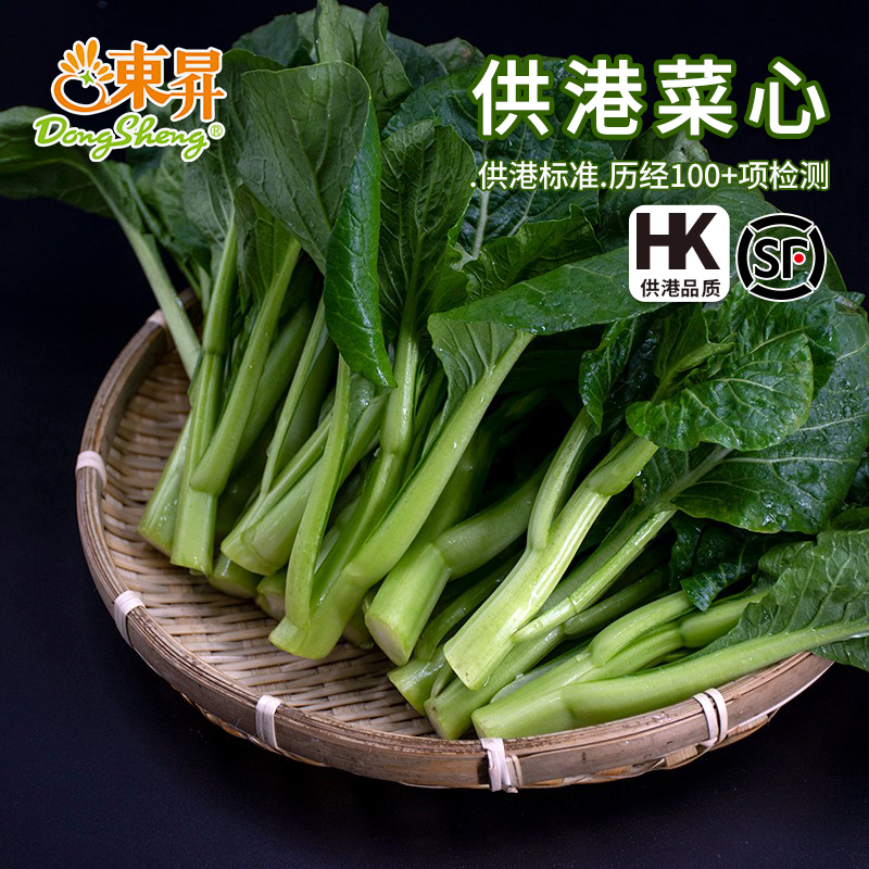 东升农场菜心新鲜时蔬食品