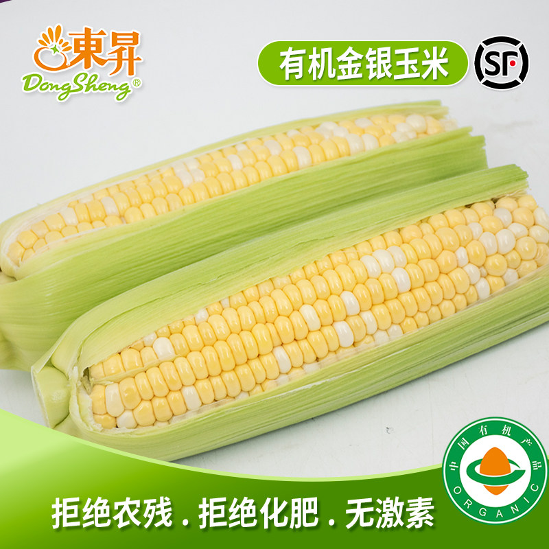 金银玉米东升有机认证图片