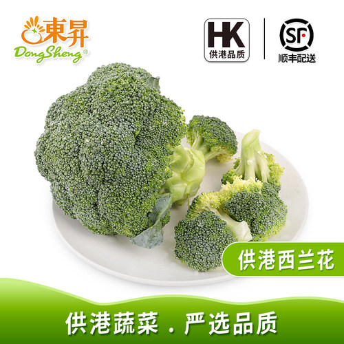 爽脆鲜嫩西兰花东升顺丰包邮