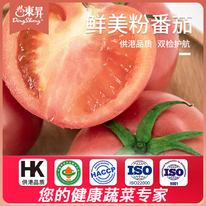 东升农场粉红番茄新鲜孕妇水果