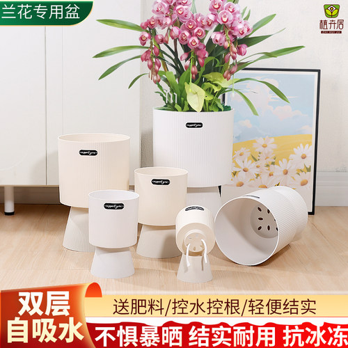 简约高颜值树脂懒人自吸水花盆