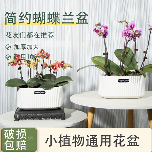 树脂北欧风蝴蝶兰吊兰创意花盆