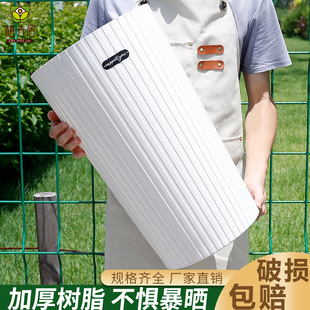 高筒特大号仿陶瓷树脂花盆2024新款 天堂鸟专用盆客厅家用高脚摆件