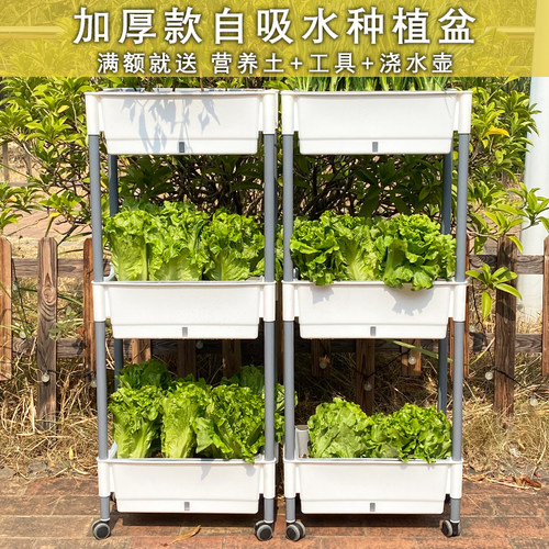 树脂简约懒人自吸水盆多层种菜盆