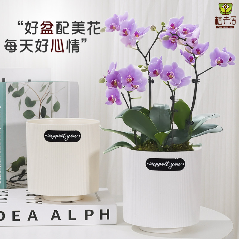 北欧风仿陶瓷花盆大号送托盘树脂矮脚加厚竖条盆室内蝴蝶兰绿植盆,鲜花速递/花卉仿真/绿植园艺,花盆,淘宝优惠券,粉丝福利购,淘宝优惠卷