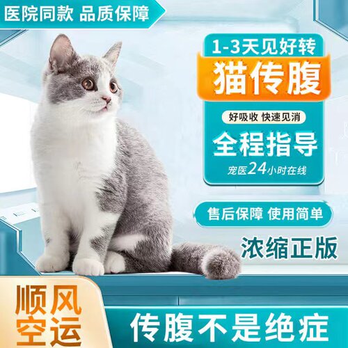 站不稳肚子大食欲差猫传腹针片剂