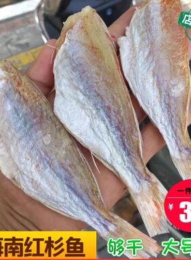 自然风干海南无头无内脏红杉鱼