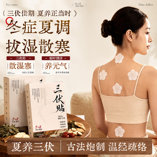 三伏贴艾灸艾草贴成人儿童肚脐穴位贴