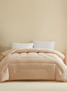 GIVERNY HOME 被芯被子石墨烯抗菌发热磨毛暖绒四季被春秋被冬被