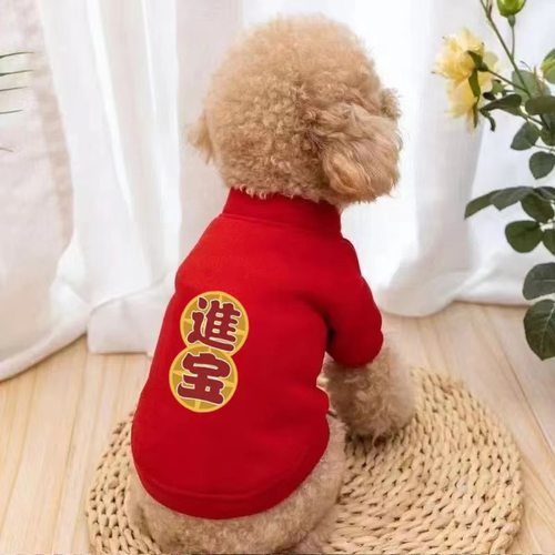 猫咪卫衣两脚抓绒狗狗衣服