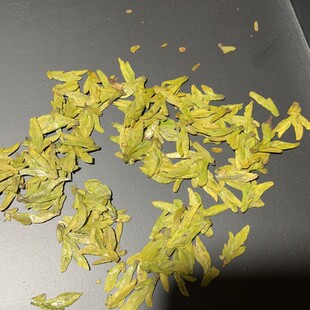2026年新昌大佛龙井茶新茶明前小芽苞高豆香龙井茶