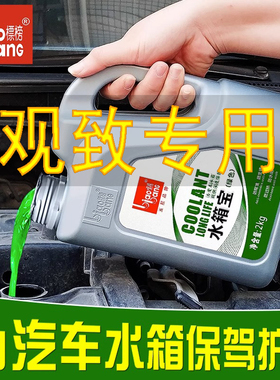 观致3 5 7红色防冻液冷却液5s星途TXL LX VX捷途奇瑞四季通用绿色