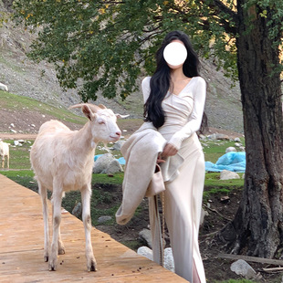 法式性感V领礼服轻奢小众高端级名媛气质收腰显瘦包臀褶皱连衣裙