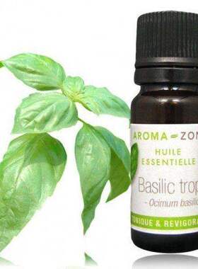 原装aroma zone热带罗勒单方精油传统种植 消化放松 法国az