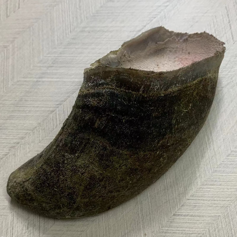 水牛牛蹄壳正宗牛杂指甲药材可入药引偏方新鲜生晒牛头蹄宠物磨牙