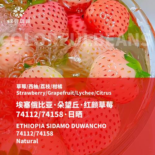 埃塞俄比亚朵望秋日晒咖啡豆