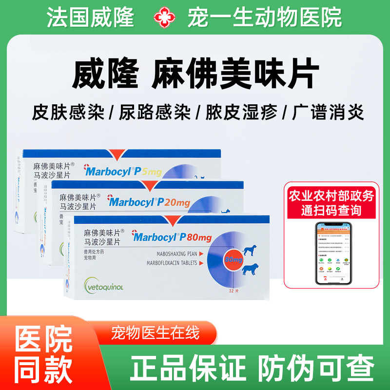 威隆麻佛美味片脓皮感冒犬猫马波沙星片皮肤病宠物消炎麻佛美味片,宠物/宠物食品及用品,狗皮肤病药品,淘宝优惠券,粉丝福利购,淘宝优惠卷