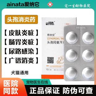爱纳它头孢羟氨苄片宠物消炎药猫狗外伤皮肤感冒呼吸道泌尿炎症