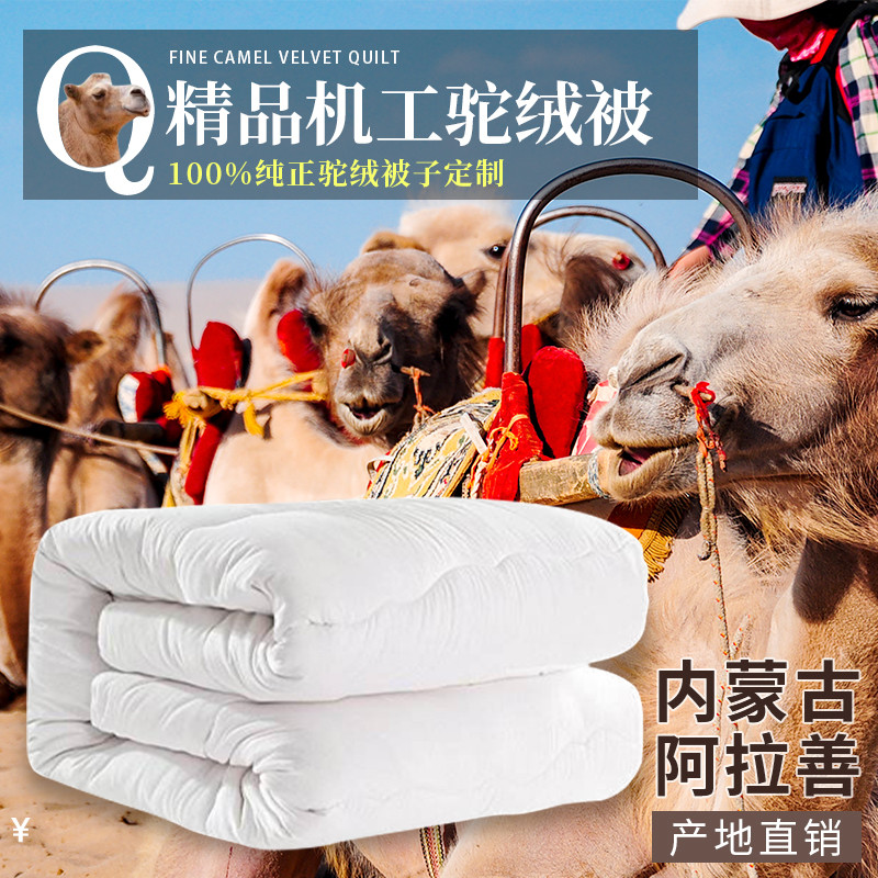 加厚6/8/10斤保暖单人驼毛被