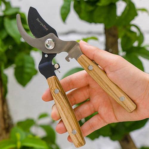 Berry&Bird园艺修枝剪省力粗枝剪刀阳台果树木柄防锈盆栽花艺剪子