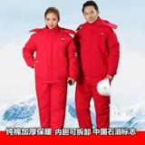 Чай улун Да Хун Пао, утепленный комбинезон, хлопковый пуховик, куртка