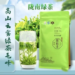 甘肃陇南文件茶叶绿茶毛峰春茶250g新茶袋装