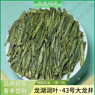 2026新茶甘肃陇南明前大叶43号龙井茶叶文县碧口高山绿茶