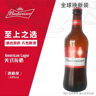 红瓶百威啤酒500ml*6/12淡色拉格经典醇正9.7度瓶装正品新货