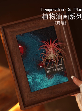 《奇遇》室温原创空气凤梨礼物懒人植物桌面摆件寓意油画墙面装饰