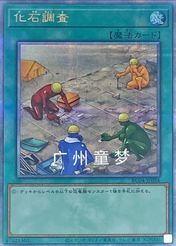 广州童梦正版日文游戏王化石调查