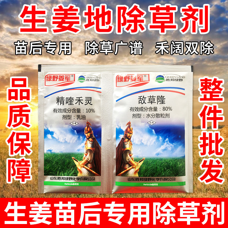 生姜地专用除草剂不伤姜苗敌草隆精喹禾灵除草烂根剂生姜苗后除草