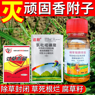 香附子专用除草烂根剂香附子克星三菱草莎草科专杀氯吡嘧磺隆农药