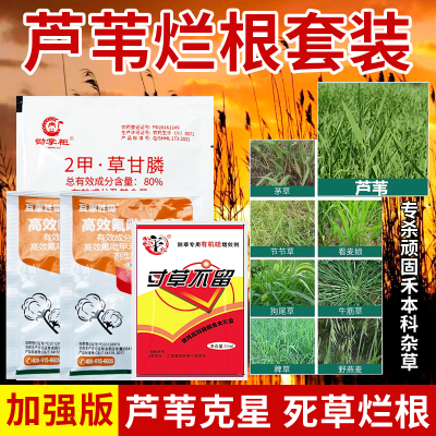 （正品推荐）杀芦苇专用药
