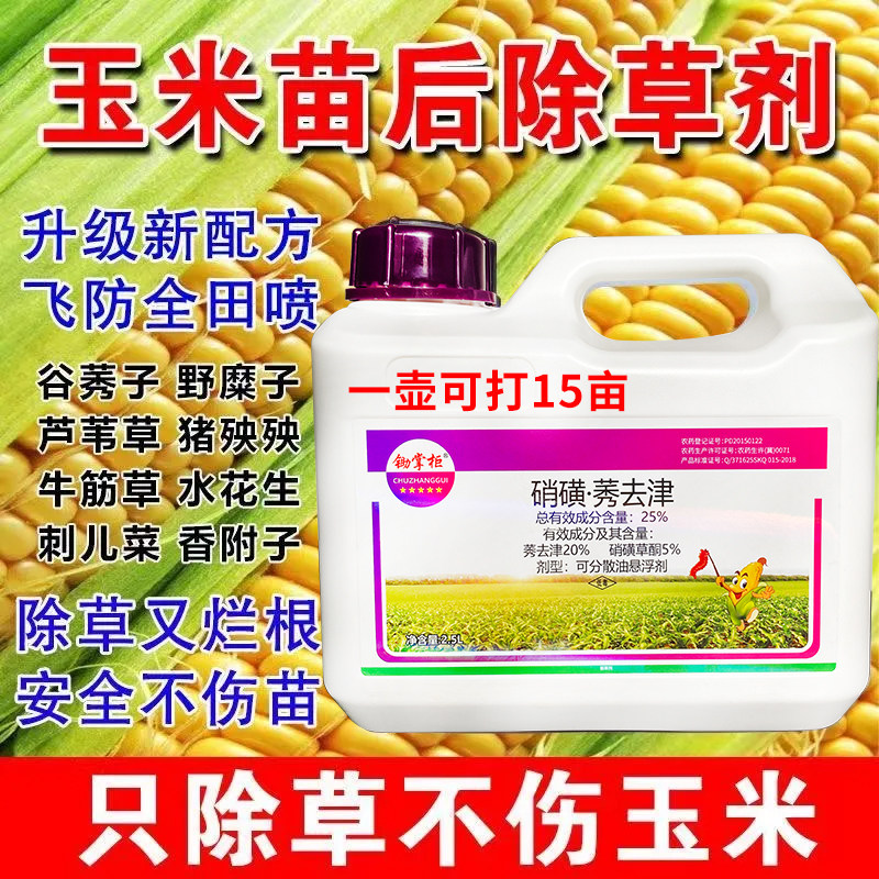 玉米地除草专用剂硝磺莠去津玉米田苗后除草烂根剂死草安全不伤苗