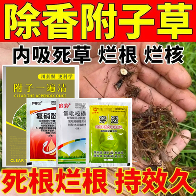 （好物推荐）香附子克星烂根剂