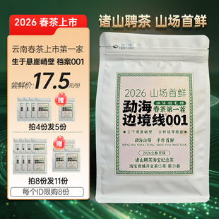 2026春茶首鲜 勐海边境线小高杆古树散茶羽毛普洱茶生茶70克尝鲜
