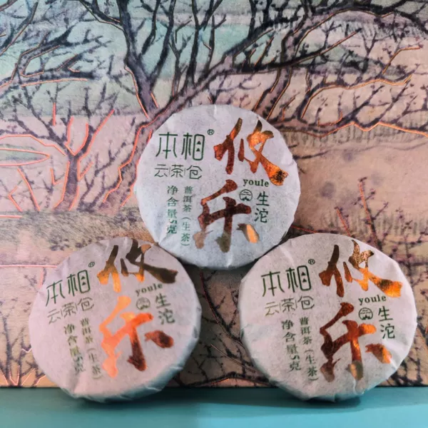 隆昌號本相云茶仓迷你小沱茶2022年生茶普洱茶旅行袋装500g茶叶生