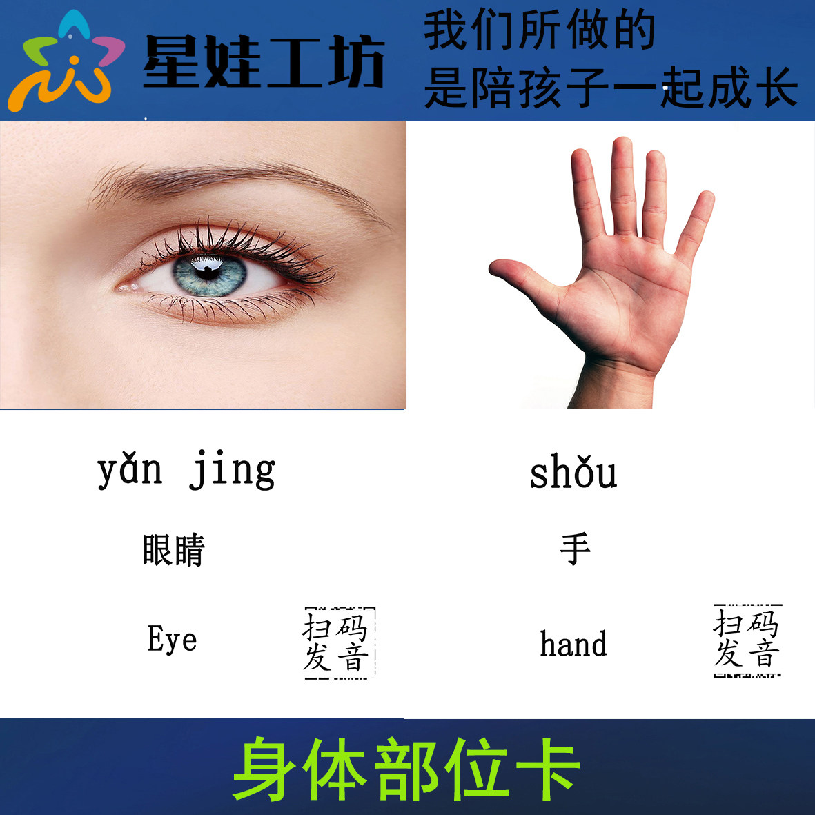 身体部物认知卡自闭症儿童康复语言发育迟缓训练卡片英文早教卡片